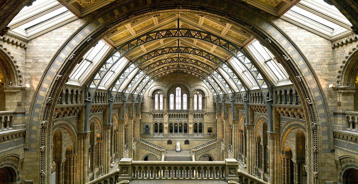 natural history museum case study