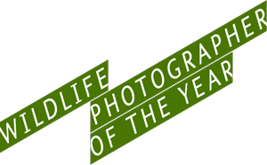 Wildlife Photographer of the Year