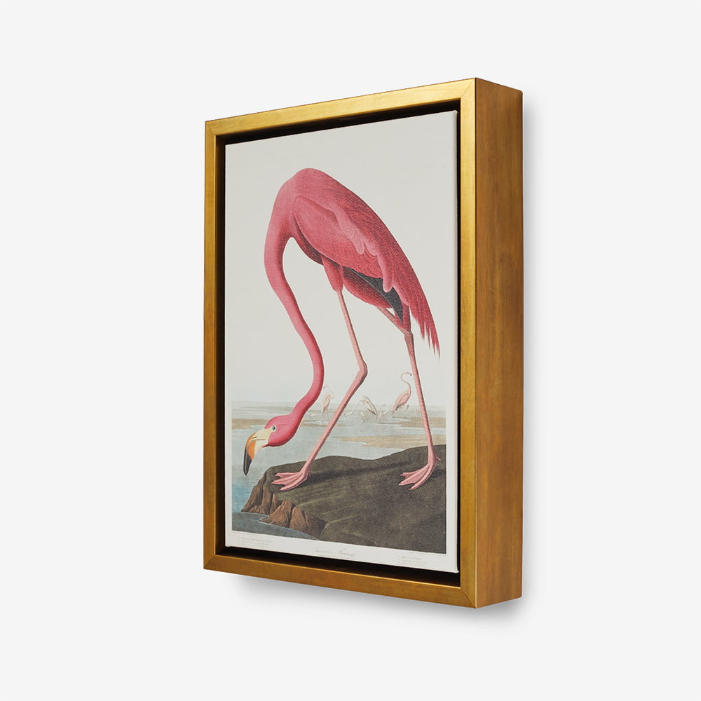 Prodigi canvas float frame gold