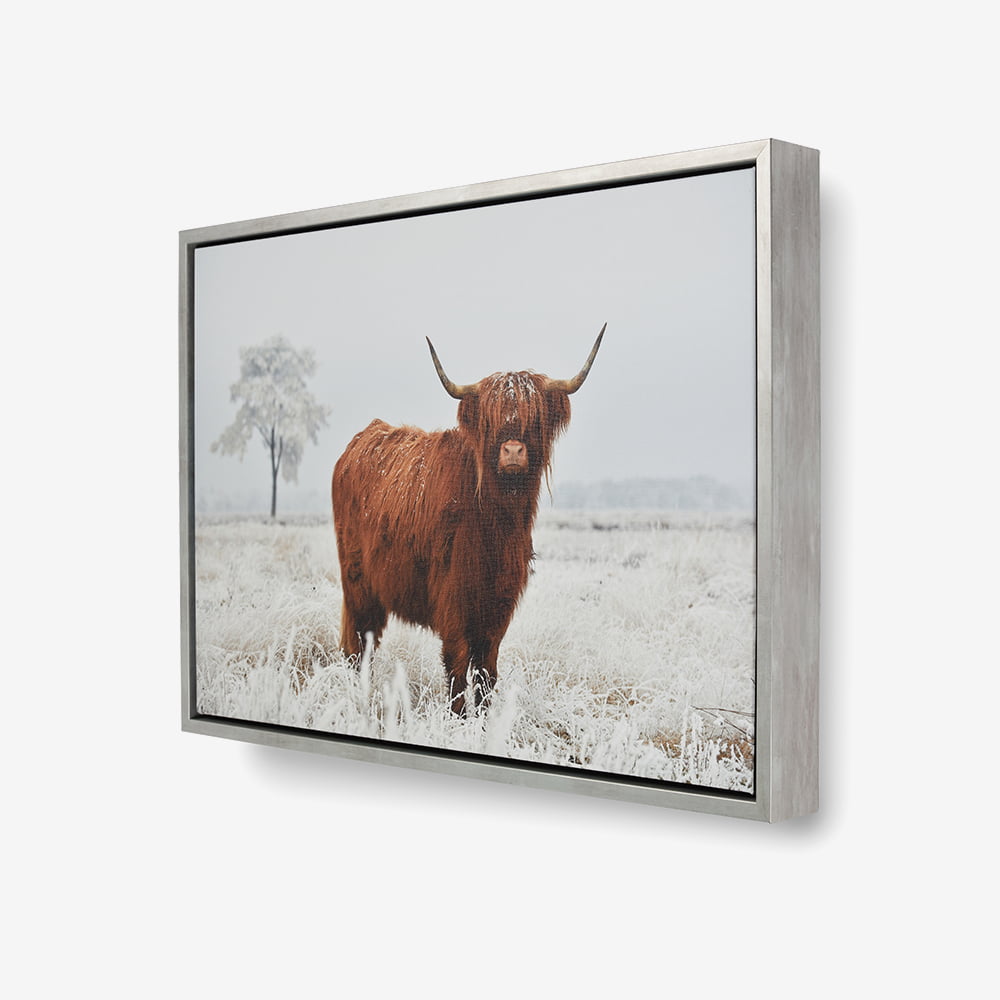 Prodigi silver canvas float frame