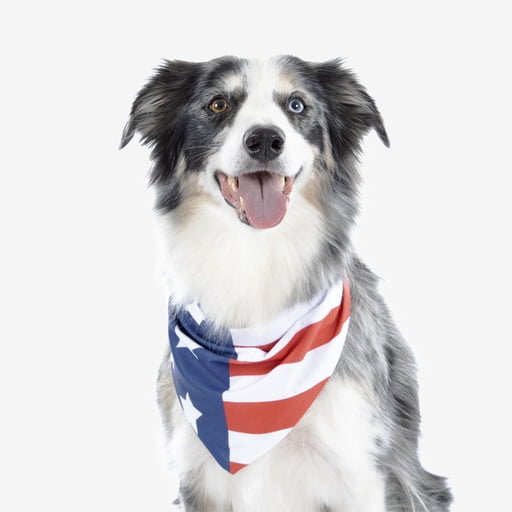 Dog bandanas