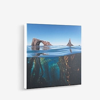 Custom printed products in Ireland: Canvas