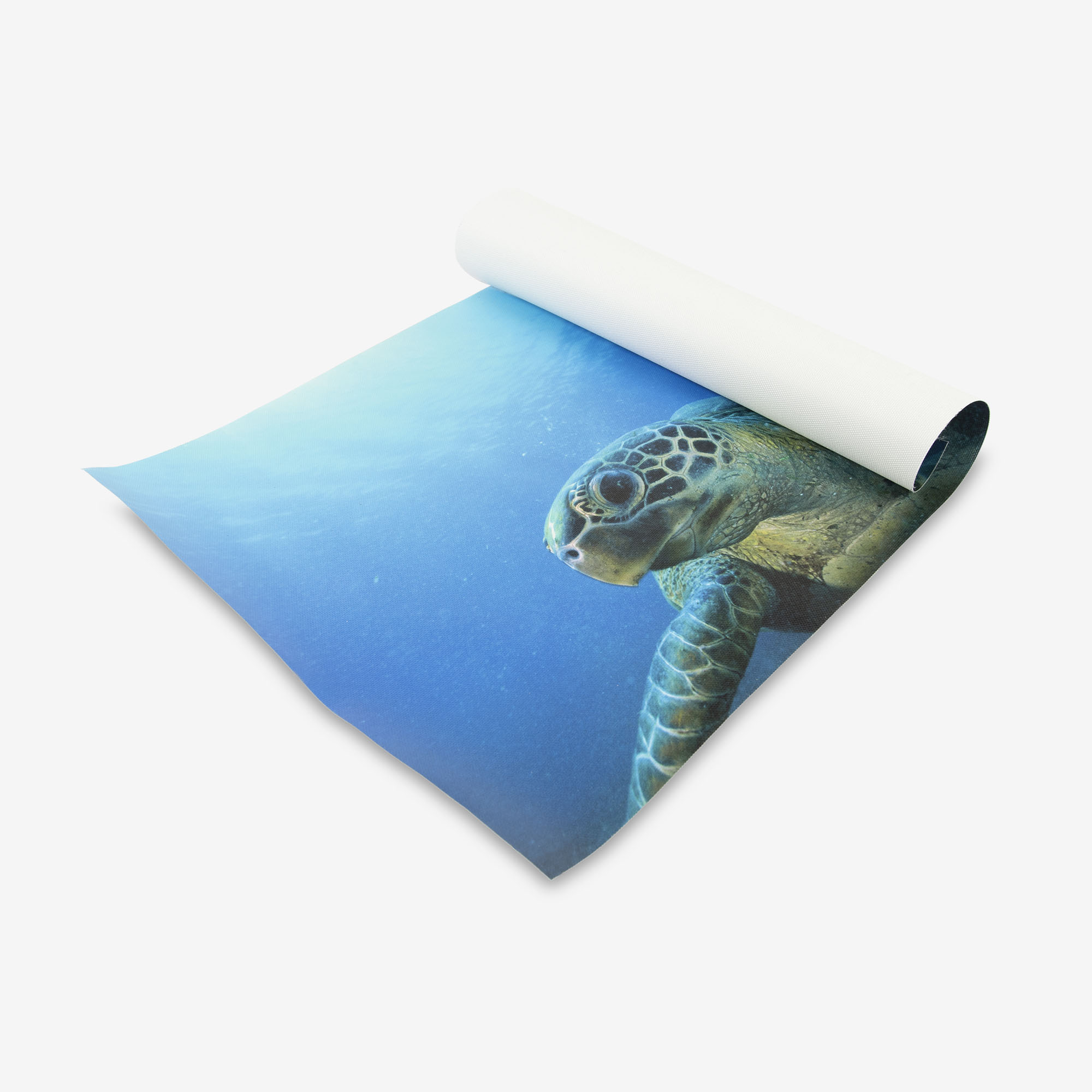 Eco rolled canvas
