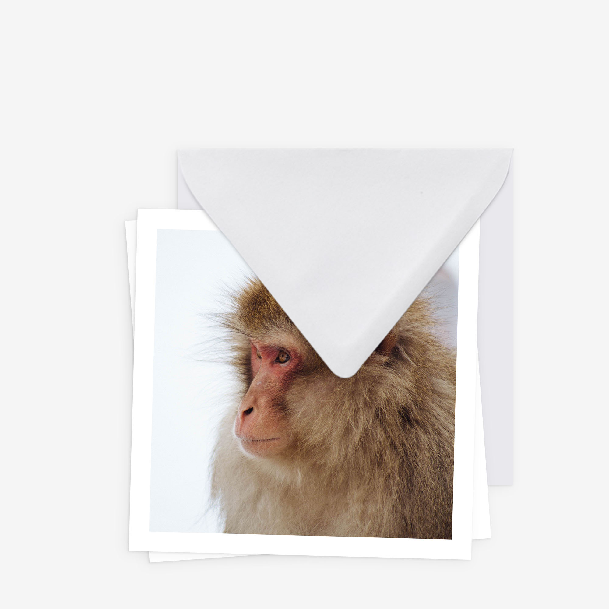 Invitations