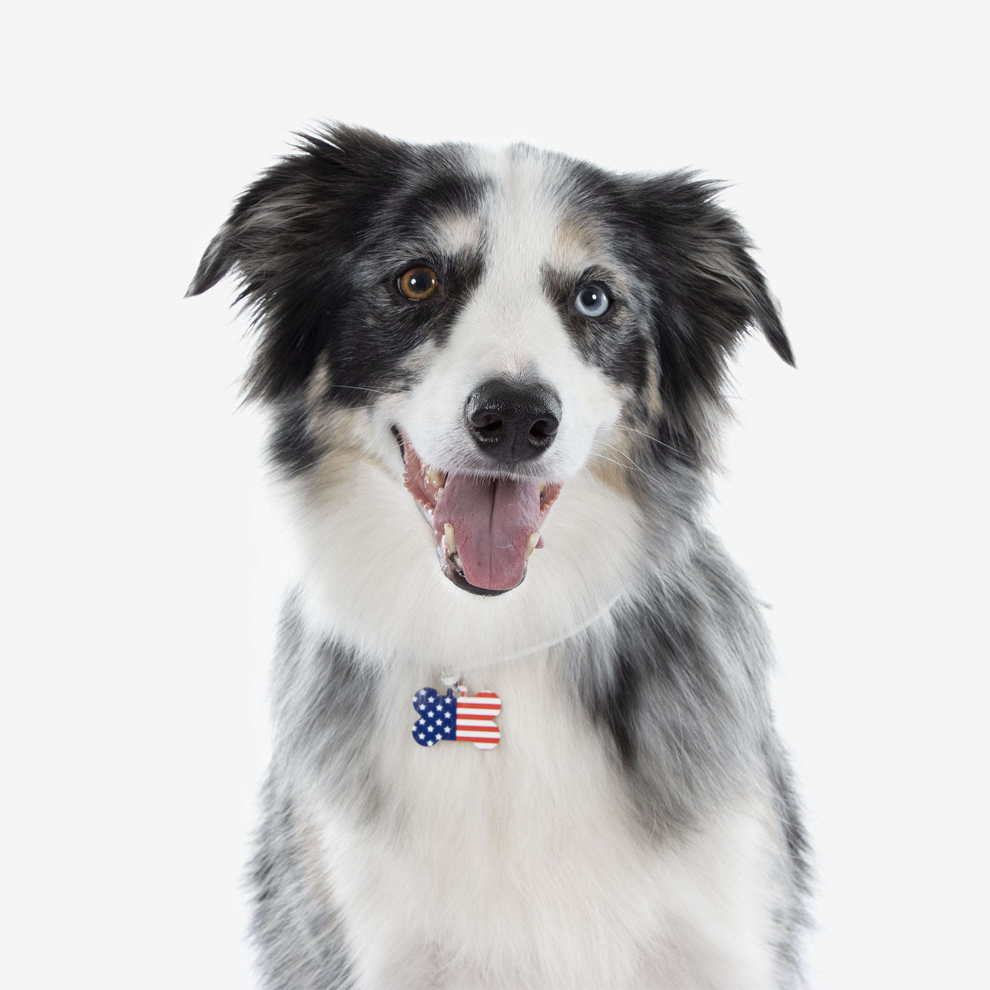 Print on Demand Metal Pet Tags Print API Dropshipping